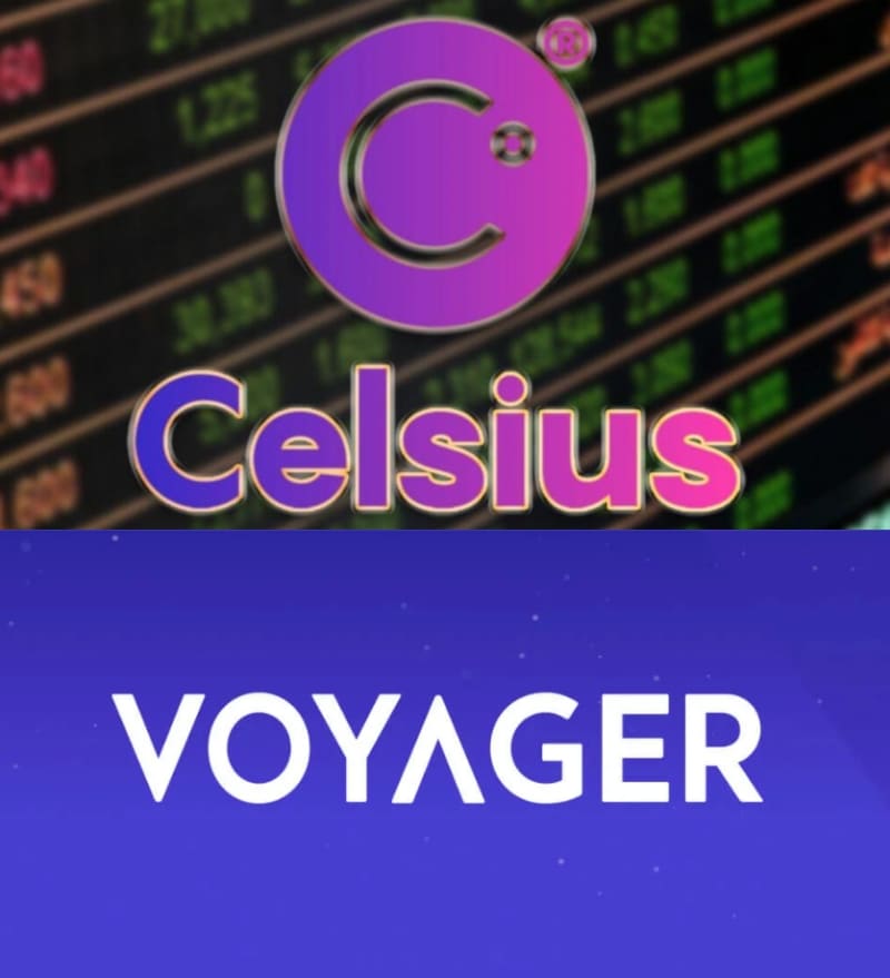 Crypto lenders Celsius and Voyager have filed for bankruptcy