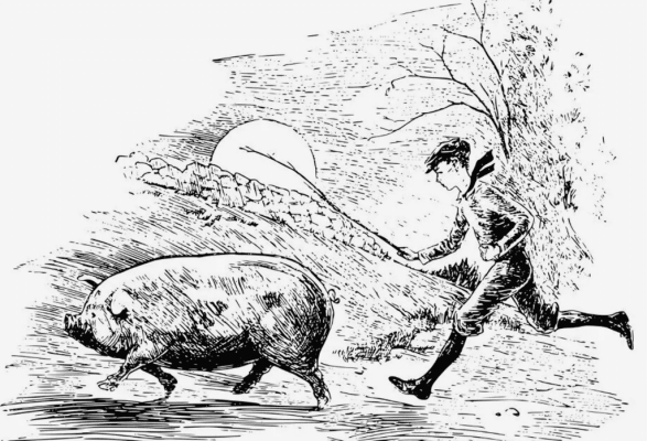 Crypto “pig butchering” scam. A review by a Bitcoin mixer: mixero.money